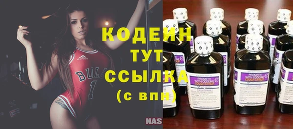 мяу мяу мука Алзамай