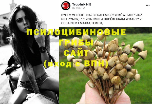 мяу мяу мука Алзамай