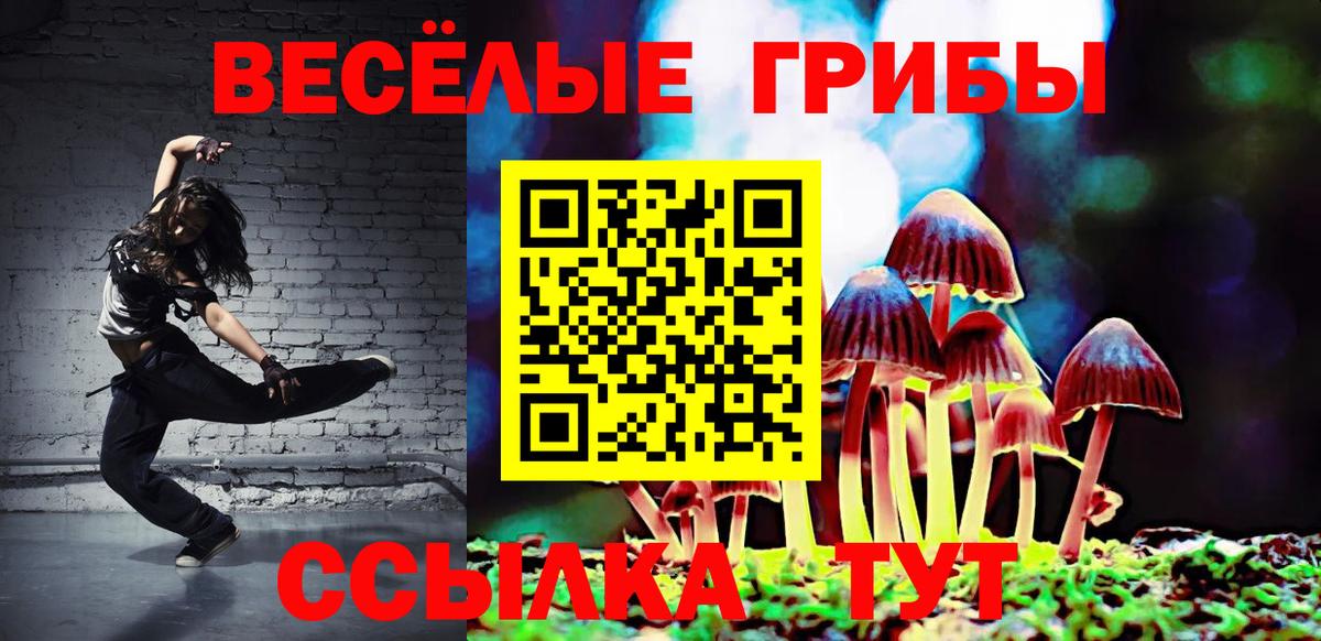 купить наркоту  Псилоцибиновые грибы Magic Shrooms  Вход с VPN  Старая Купавна 