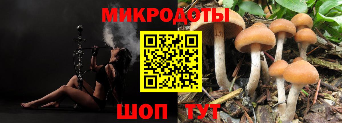 где найти наркотики  Старая Купавна  Галлюциногенные грибы ЛСД  Галлюциногенные грибы мухоморы 